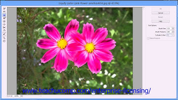 Adobe Photoshop Elements 12 Tutorial Manipulating Images Employee Group Training 13.10