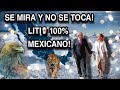 EL LITIO SE MIRA Y NO SE TOCA! AMLO LOGRA ALGO HISTÓRICO PARA EL PUEBLO MÉXICANO!