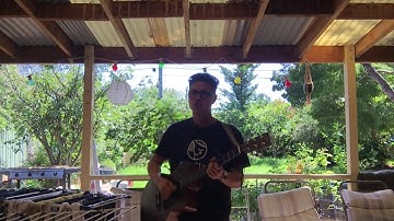 Cover - Home Here With Your Friends : The Lazy Susans