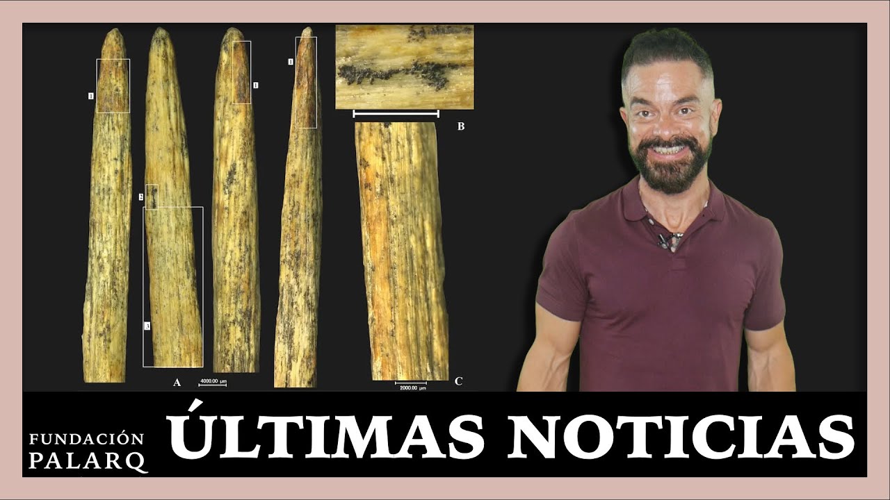 Неандертальцы: Самый древний костяной наконечник копья в Европе | Археологические новости