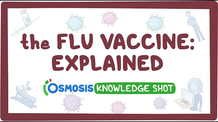 The flu vaccine: explained - DayDayNews