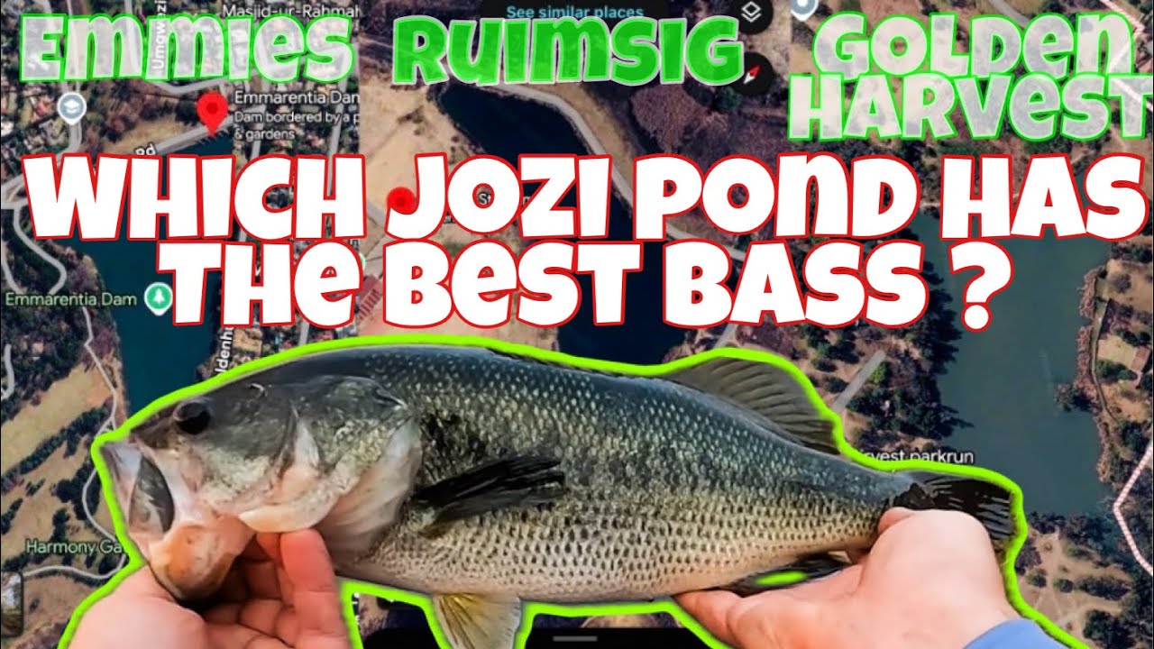I Fished The 3 Best Public Dams in Johannesburg | Bass Fishing