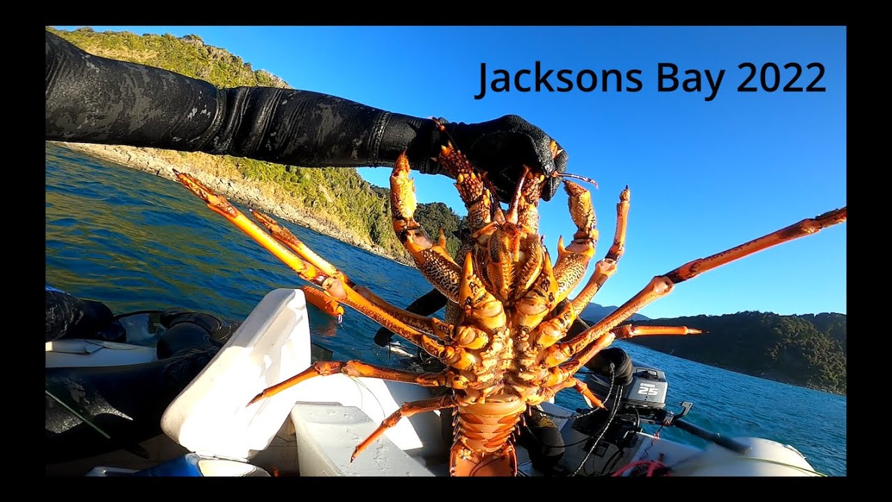 New Zealand West coast Freedive 2022 (Jacksons Bay)