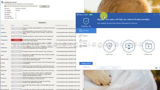 Ransim(Ransomware Test) | Glarysoft Malware Hunter PRO screenshot 4