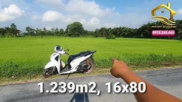 ĐẤT VƯỜN 1.239m2 đường nhựa, 2tr9/m2, ngay CV nước Củ Chi. 0975365665