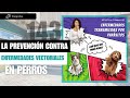 CAPÍTULO 143: 🦟 Campaña de prevención de enfermedades vectoriales