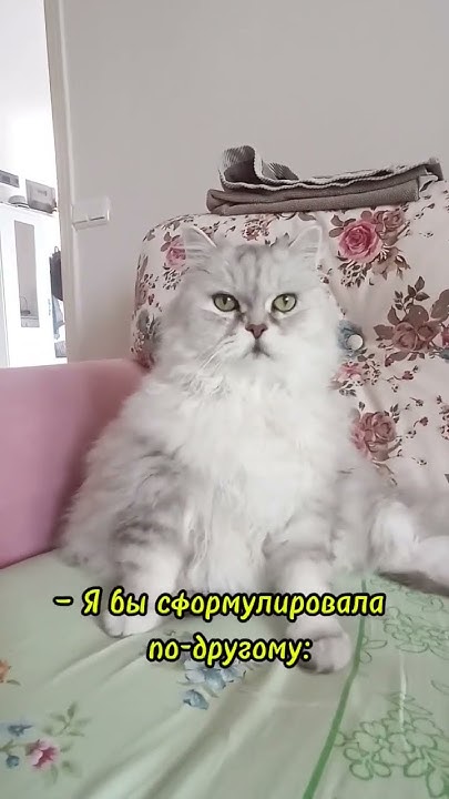 Почему вы опоздали? - YouTube