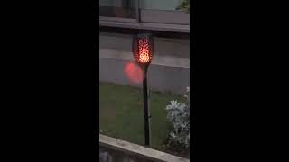 炎のガーデン　ライトソーラー　Flame garden Light Solar