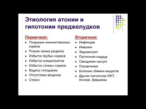 Video: Elpceļu Acidoze Bronhoskopijas Vadītas Perkutānas Dilatācijas Traheostomijas Laikā: Ventilatora Iestatījumu Ietekme Un Endotraheālās Caurules Izmērs