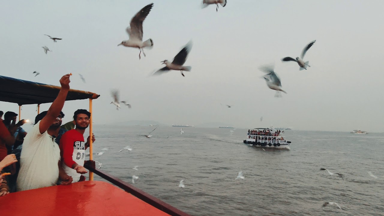 Ferry Ride Mumbai Mumbai Ferry Ride Birds flocking - YouTube