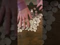 Quarter rain #asmrcoins #tingleasmr #goosebumps #cringe #quarters #asmrsounds #asmr #blog #hustle