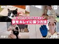 【時短】11匹の猫と暮らす専業主婦が家をキレイに保つ方法を教えます！【エコバックス】