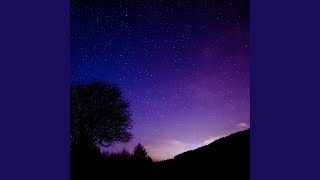 Celebrity Unbroken Line Profile