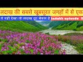 Ladakh tour 2025 || लदाख में इन खूबसूरत जगहों पर जरूर घूमे||the beauty of ladakh||