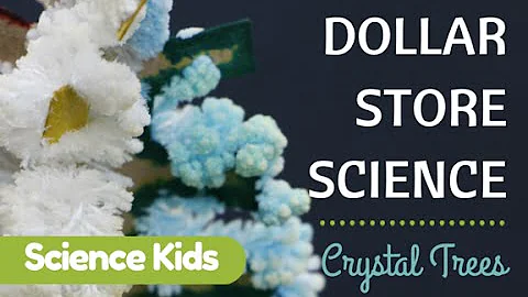 Dollar Store Crystal Growing Kit Review - Science Kids