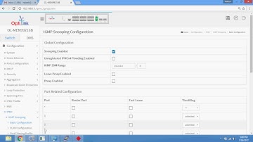 Optilink Switch 99216B IGMP Port Group Filtering (Metro Ethernet Switch)