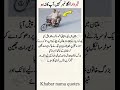 Multan Fraud Alert: 80-Year-Old Woman Robbed by Deceptive Motorcyclist | Public Safety News
