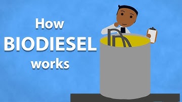 How Biodiesel Works