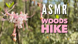 ASMR - Spring Woods Hike