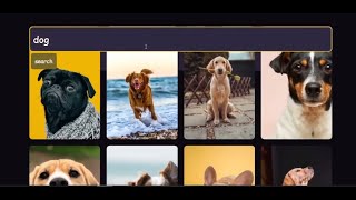 Image Gallery || React || API