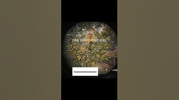 #shorts #shorts_video #codclips #cod #codmw #shortsfeed