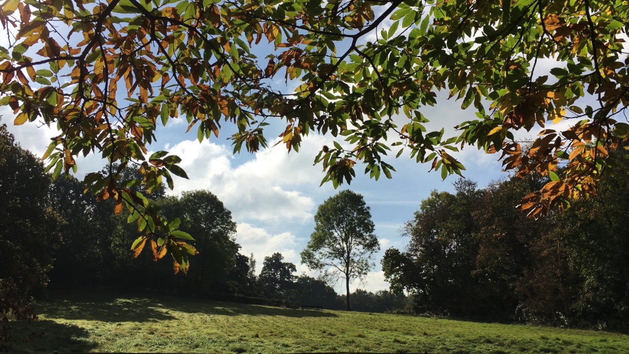 Relaxing Calm Improvised Piano Music (8 Minutes)