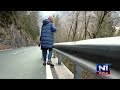 (Ne)zakonita sečnja: Zakaj ste posekali ta drevesa?
