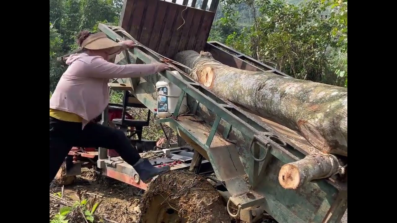 Agricultural vehicle transporting wood in the countryside; girl logging alone.