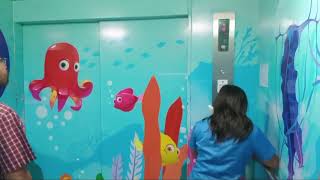 Hyundai Elevator At SM City Rosales G - 2