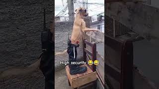 High Security 😂