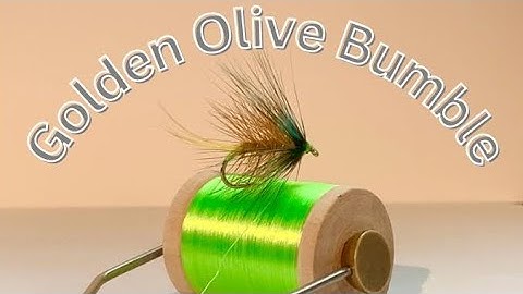 Fly Tying - The Golden Olive Bumble