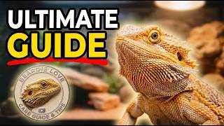 This Is Why Your Bearded Dragon Isn't Thriving