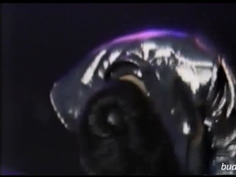 西城秀樹~HIDEKI~Sail Agin~89 Super Tour