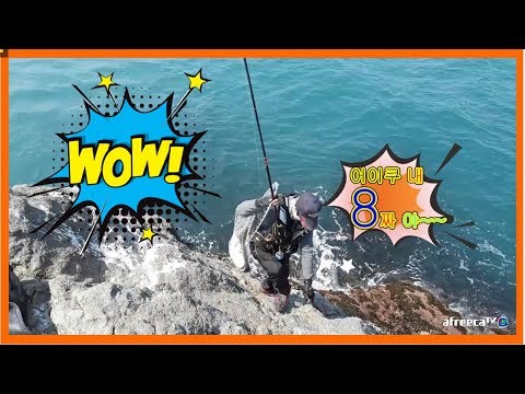 고기가 넘 무거워서 뜰채가 부러졌다..ㅠㅠ Red <strong>seabream</strong>, 紅鯛魚 (fishing)