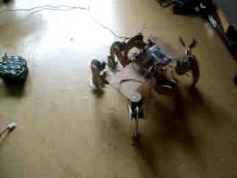 hexapod walking 5