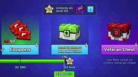 I finally hit max level - pixel gun 3d