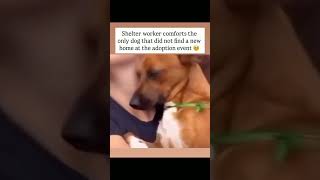Last weekend, I was at a local shelter’s adoption event, filled with hope and excitement#usa #uk