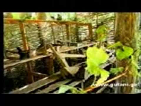 გიორგი ჩალაძე  მხატვარი რაჭიდან   1