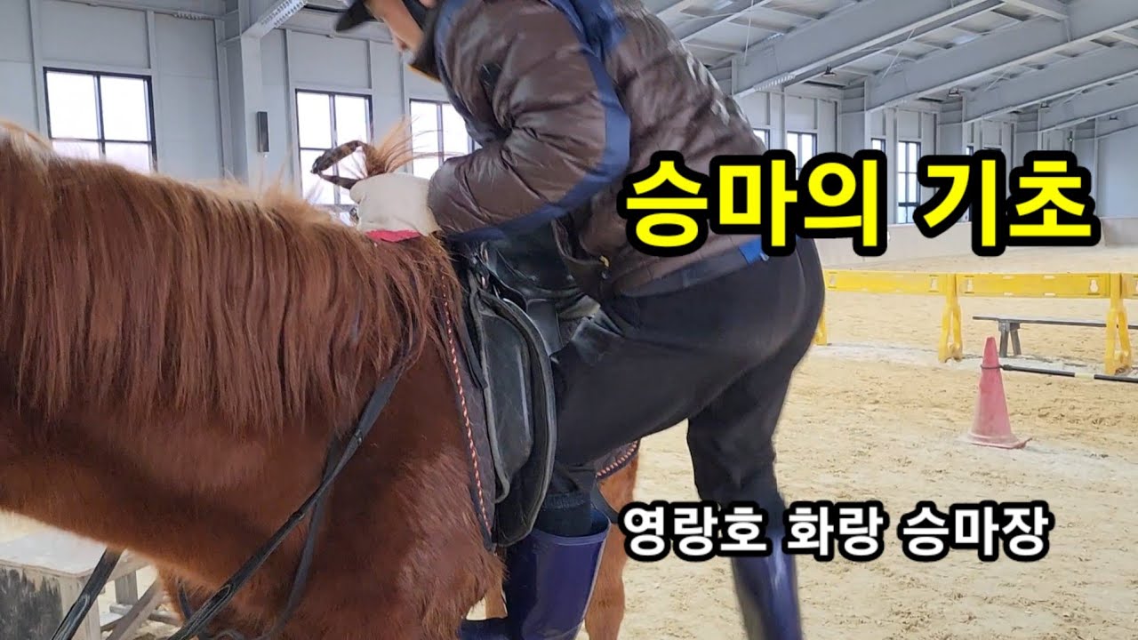 말안장 올리는법, 말끌기, 등자길이 맞추는법, 말에 올라 타는법 - YouTube