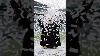 Swoop The Philadelphia Eagles