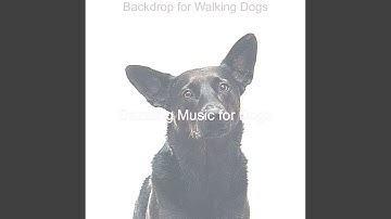 Pulsating Backdrops for Training Puppies