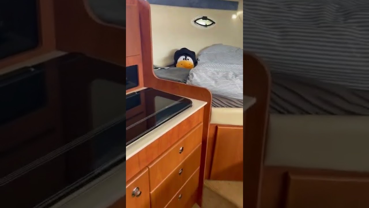 Bayliner 300
