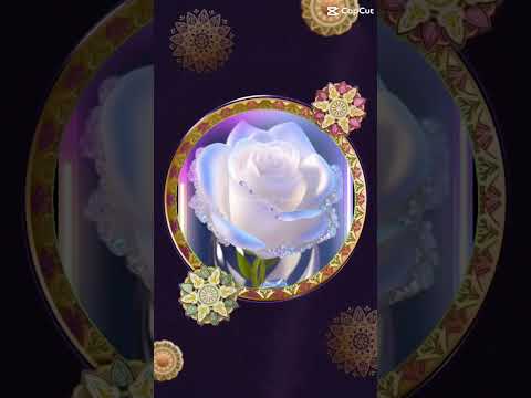  اللهم في يوم الجمعه ارزقنا قدرا جميلا