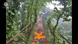 Preview 2 Cbbc Fan Stuff V10 Cbbc Fan