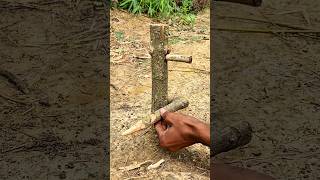 Simple bamboo trap technique #survivalgame