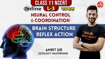 Neural Control And Coordination L-3 | Brain structure | 11th NCERT | Neet 2020 | By Amrit Raj Sir