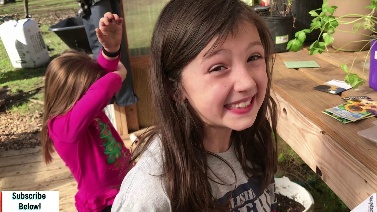 What To PLANT In The WINTER Months?! Soil Blocks Green House Views