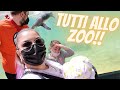 ANDIAMO ALLO ZOO INSIEME ! *prima volta per Zoe*  / chiara paradisi