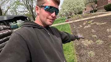 How to Cut Clean Edges in Your Lawn the Easy Way!