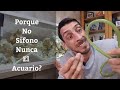  porque no sifono nunca el acuariocomo evitar sifonar el acuario y mantenerlo limpio acuarios mb